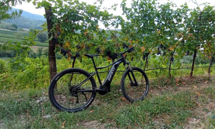 Noleggio Mountain Bike elettriche